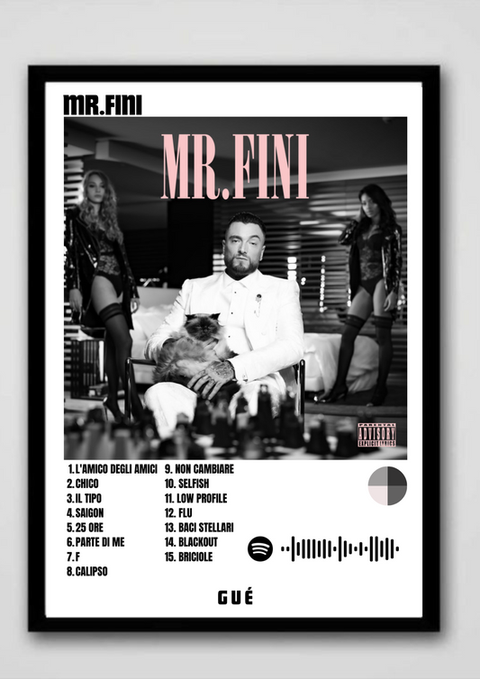 MR.FINI-gue